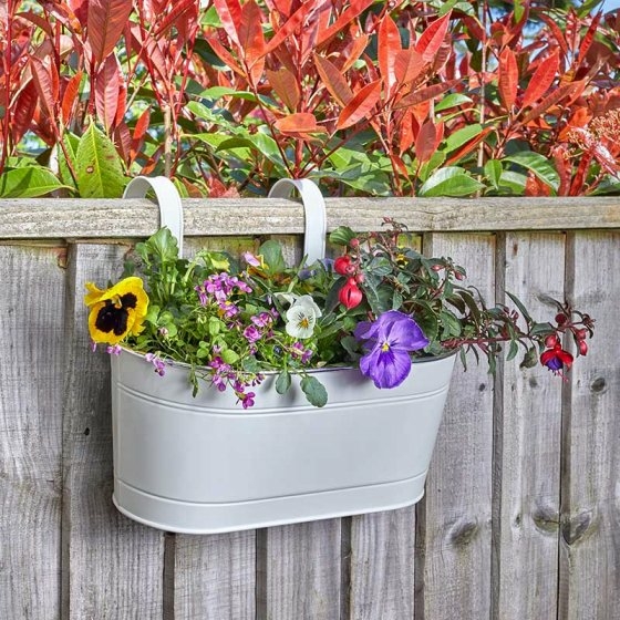 12 Fence Balcony Hanging Planter Ivory Ardcarne Garden Centre