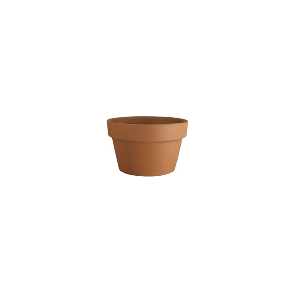 Terracotta Azalea Planter 25cm Dia Ardcarne Garden Centre