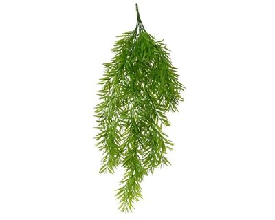 Bush cinnamomum spray -Image courtesy of Kaemingk