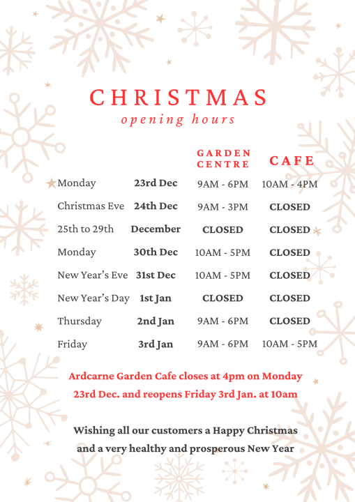 Christmas Opening Hours