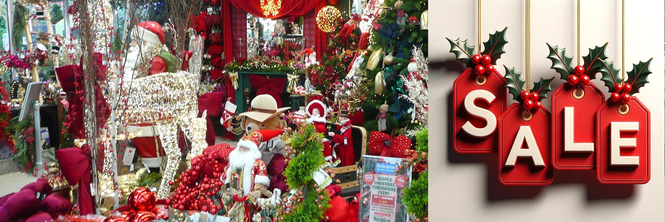 Christmas Sale Now On!