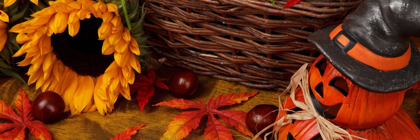 Halloween & Autumn Décor