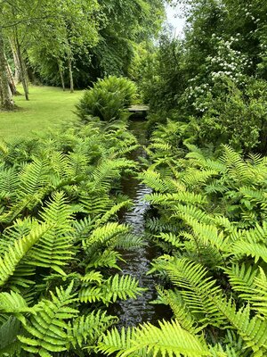 Clew Bay Garden  Trail - Drimbawn Garden