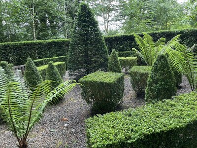 Clew Bay Garden  Trail - Drimbawn Garden