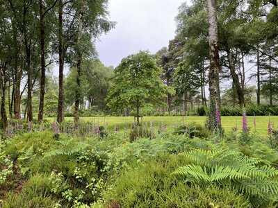 Clew Bay Garden  Trail - Drimbawn Garden