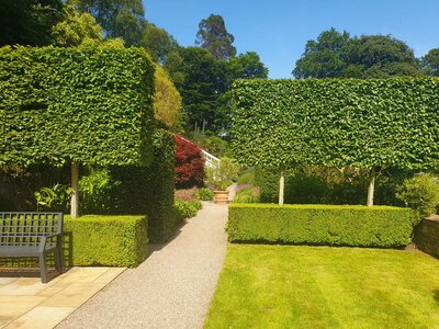 Clew Bay Garden  Trail - Drimbawn Garden