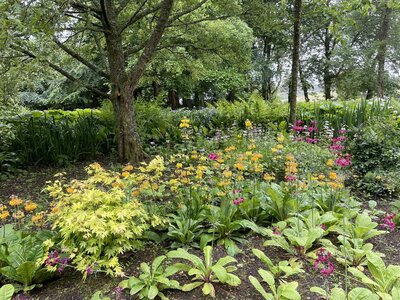 Clew Bay Garden  Trail - Drimbawn Garden