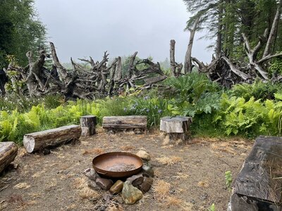 Clew Bay Garden  Trail - Drimbawn Garden