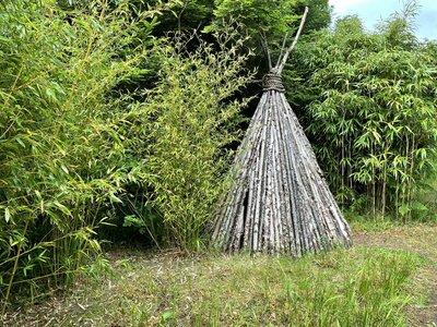 Clew Bay Garden  Trail - Drimbawn Garden