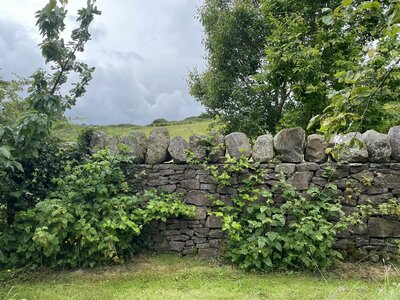 Clew Bay Garden  Trail - Drimbawn Garden