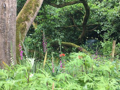 Secret Gardens of Sligo: Heathfield House