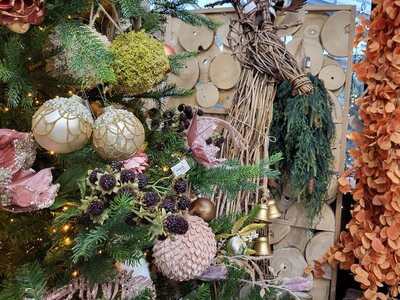 'Woodland Magic' - Ardcarne Garden Centre Boyle