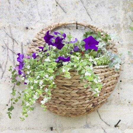 16" Hyacinth Wall Basket - image 1