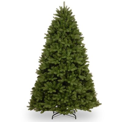 7.5ft Newberry Spruce tree