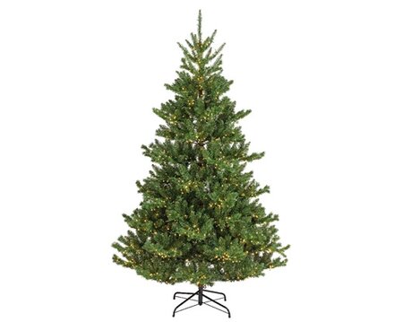 7ft Pre lit 2400 LED Alba fir tree - Image courtesy of Kaemingk