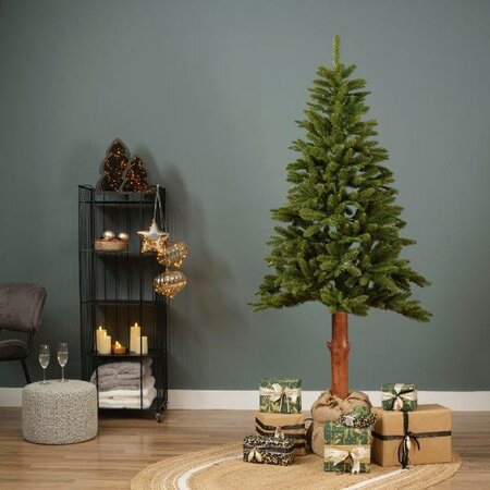 7ft Tiaga fir tree - image 6