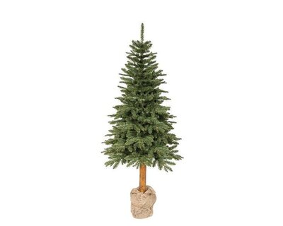 7ft Tiaga fir tree - image 1