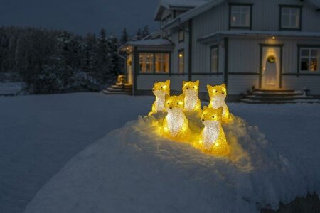 Acrylic Foxes 5 Piece Set LED - image 2