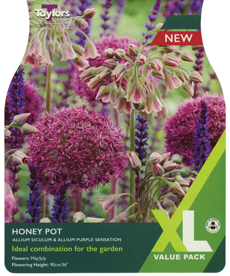 Allium 'Honey Pot' XL Value Range (15 bulbs)