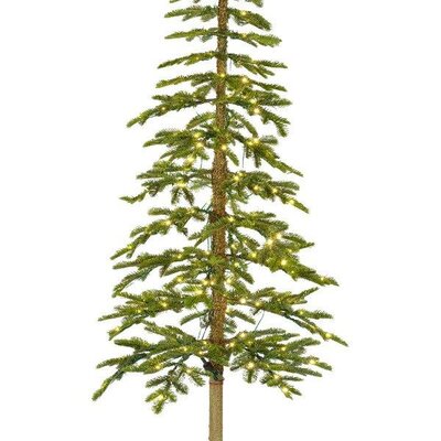 7ft Alpine fir with 200 Micro LED lights - image 3