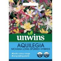 Aquilegia Mckana Long Spurred Hybrids