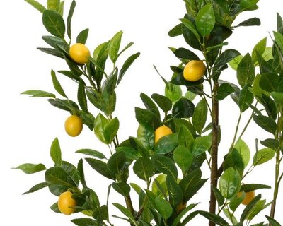 Artificial lemon plant in pot - image 2