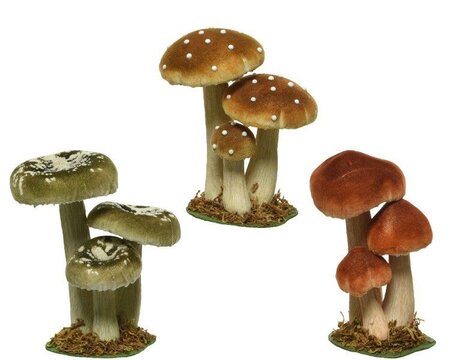 Assorted velvet mushroom trio - image 1