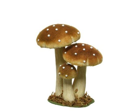 Assorted velvet mushroom trio - image 5