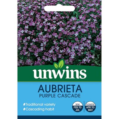 Aubrieta Purple Cascade (200) - image 1