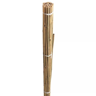 2ft Bamboo Canes Bulk Bundle 20 pack