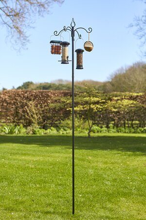 Banquet Bird Feeding Station