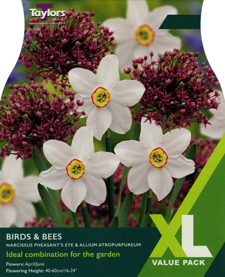 Birds & Bees XL Value Range (50 bulbs)