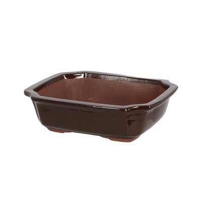 Bonsai Pot Rectangular (Medium) - image 1