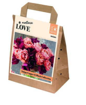 Bouquet Copper & Black Tulip Collection (30 bulbs) - image 2