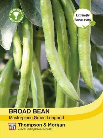 Broad Bean Masterpiece Green Longpod - image 1