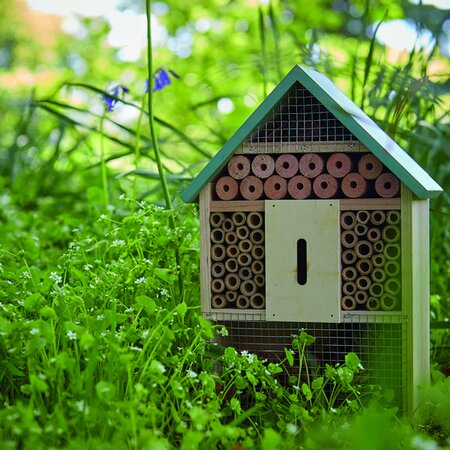 Bug and Bee Barn