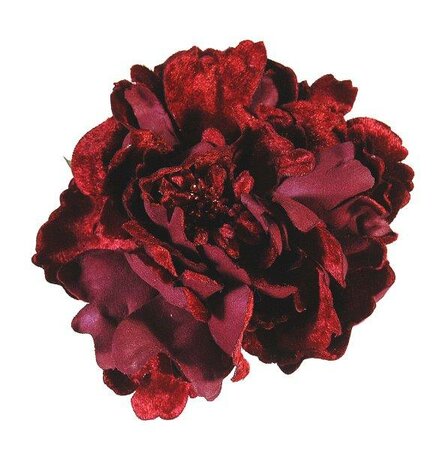 Burgundy peony flower with clip