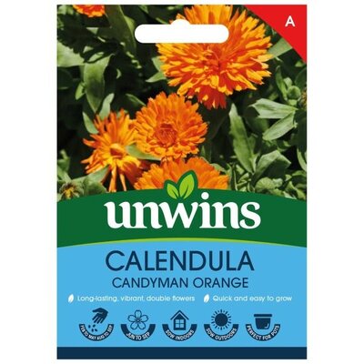 Calendula Candyman Orange - Image courtesy of Unwins