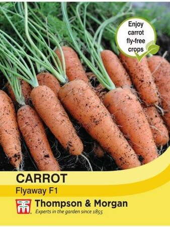 Carrot Fly Away F1 Hybrid - image 1