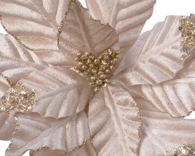 Champagne Poinsettia with pearls and glitter - image 2