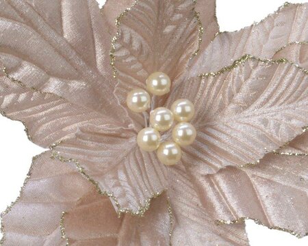 Champagne Poinsettia with pearls and glitter - image 3