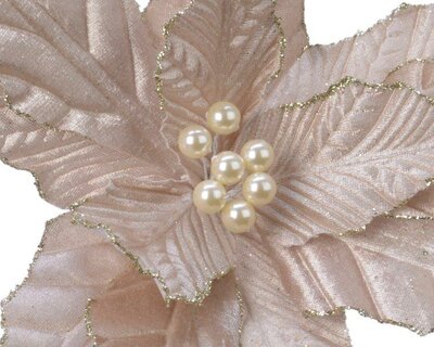 Champagne Poinsettia with pearls and glitter - image 3