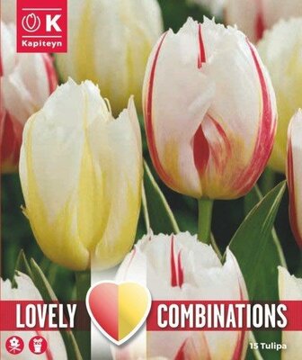 Combi Tulip Duo Triumph Happy 'Red & Yellow'
