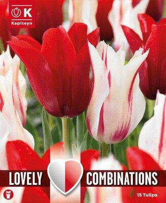 Combi Tulipa Duopack 'Red & White'