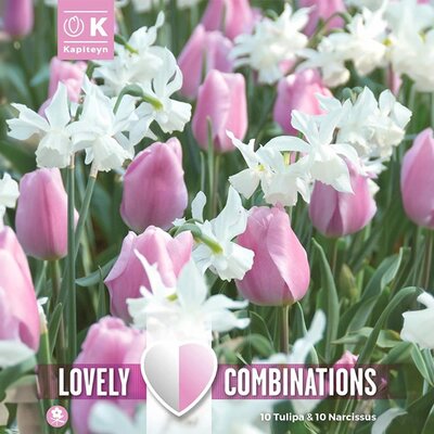Combi Tulipa Pink & Narcissus White