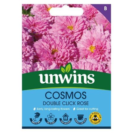 Cosmos Double Click Rose (10)