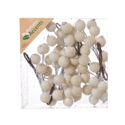 Cream Frosted Berries on Wire -Image courtesy of Hogewoning