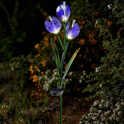 Crocus Garden Light