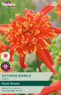 Image courtesy of Taylors Bulbs