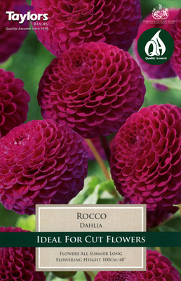 Dahlia Rocco - Image courtesy of Taylors Bulbs